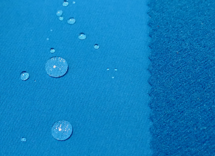 PCA-1 layer Softshell